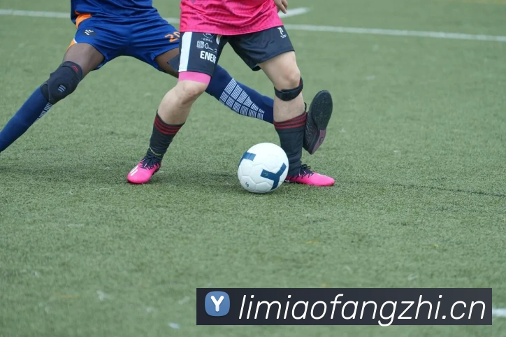 kaiyun登录入口网址发展历程